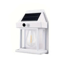 Outdoor Solar Lights - Eco-Friendly LED Garden Illumination 7