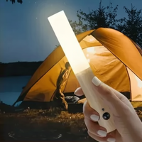 Smart Motion Detachable Wooden LED Wall Sconce