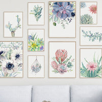 Succulent Plant Canvas Prints
